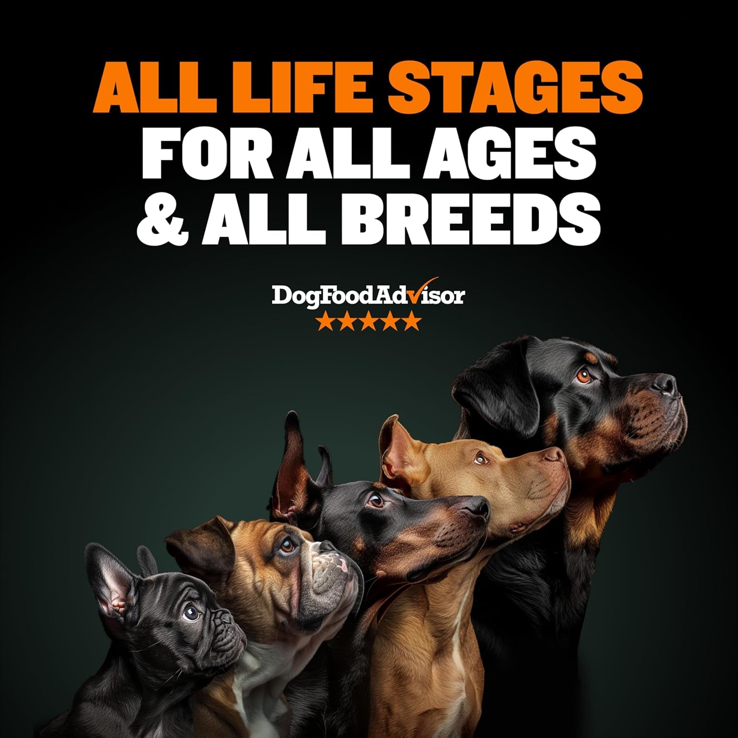 Dry Dog Food for Adults & Puppies - High Protein & Fat for Muscle & Weight Gain - High Performance Dog Food Supplements - Small & Large Breed Dogs (535 Calories per Cup), Chicken, 15Lb Bag